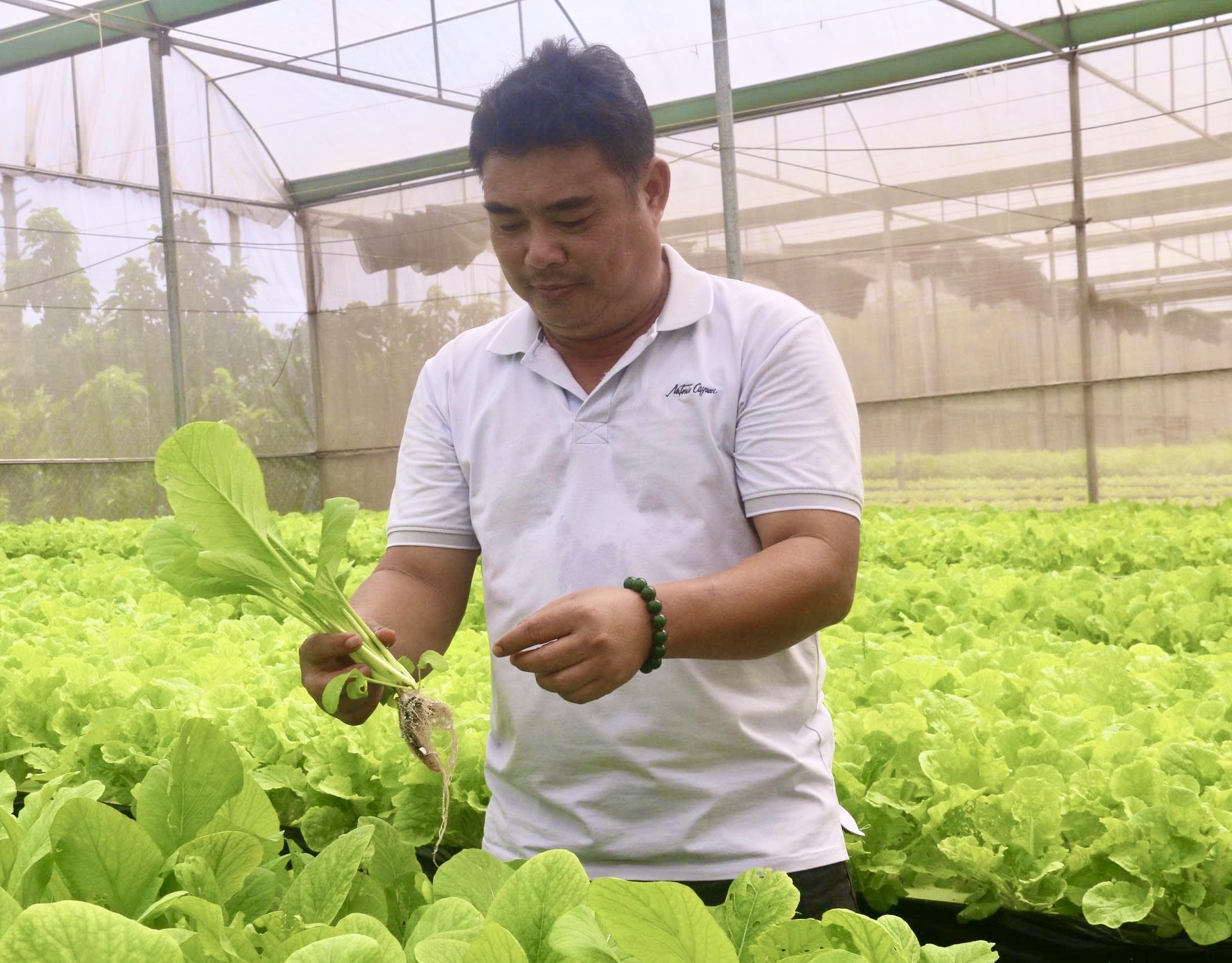 Mời bạn đọc tham gia Cuộc thi tìm hiểu ngành nghề nông thôn và bảo vệ môi trường nông thôn TPHCM - Ảnh 2.