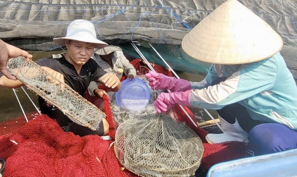 Mời bạn đọc tham gia Cuộc thi tìm hiểu ngành nghề nông thôn và bảo vệ môi trường nông thôn TPHCM - Ảnh 1.