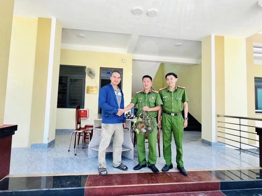 Bất ngờ phát hiện cá thể cu li quý hiếm leo dây điện trước nhà dân ở Gia Lai - Ảnh 1.