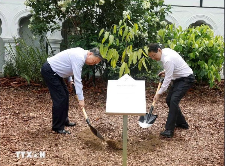 Tổng B&iacute; thư, Chủ tịch nước T&ocirc; L&acirc;m v&agrave; Thủ tướng Lawrence Wong trồng c&acirc;y tại Vườn B&aacute;ch thảo Singapore - Ảnh 1.
