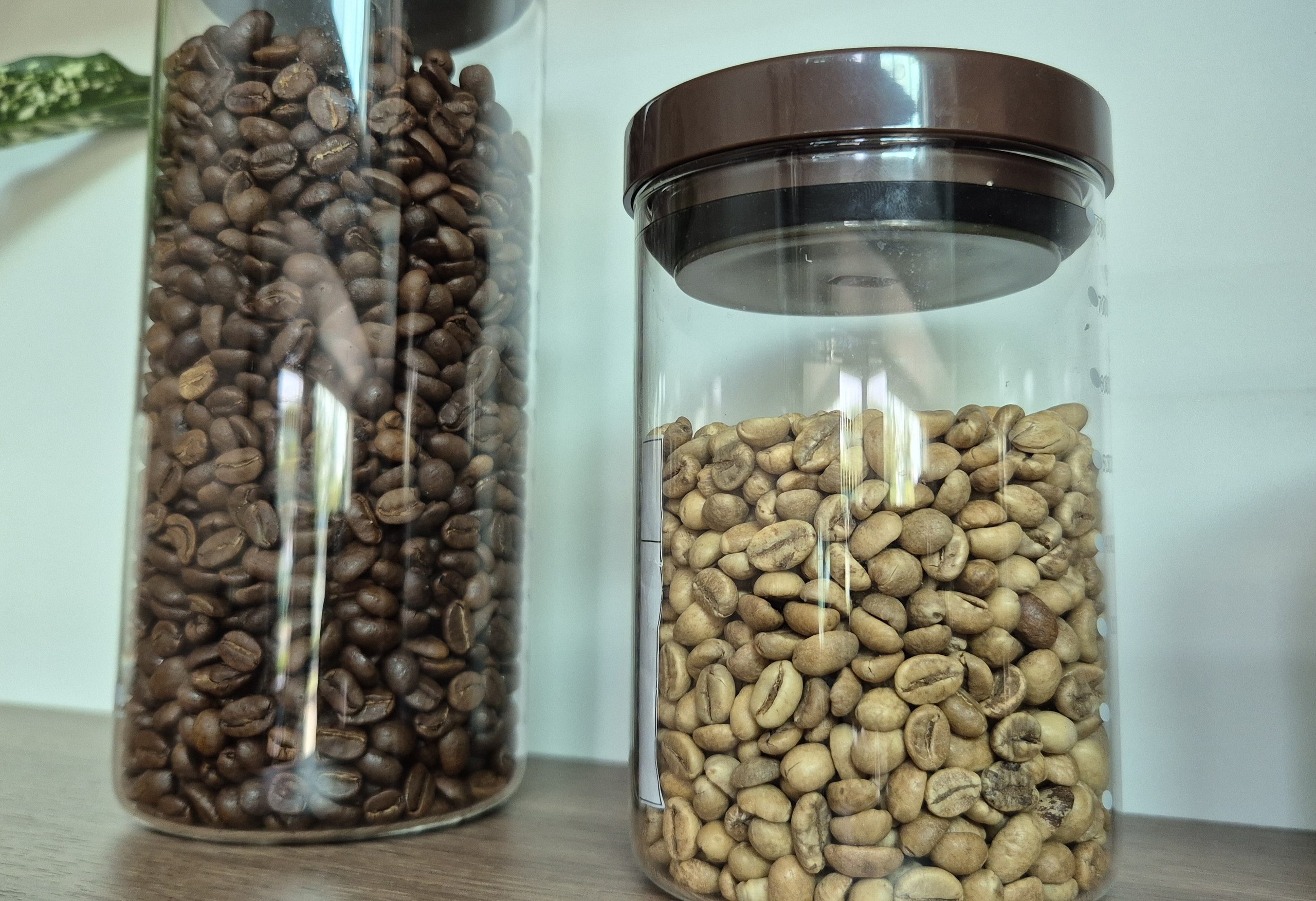 Giá cà phê hôm nay 30 - 5: Arabica giảm mạnh , người Việt tiêu thụ cà phê tăng trưởng - Ảnh 3.