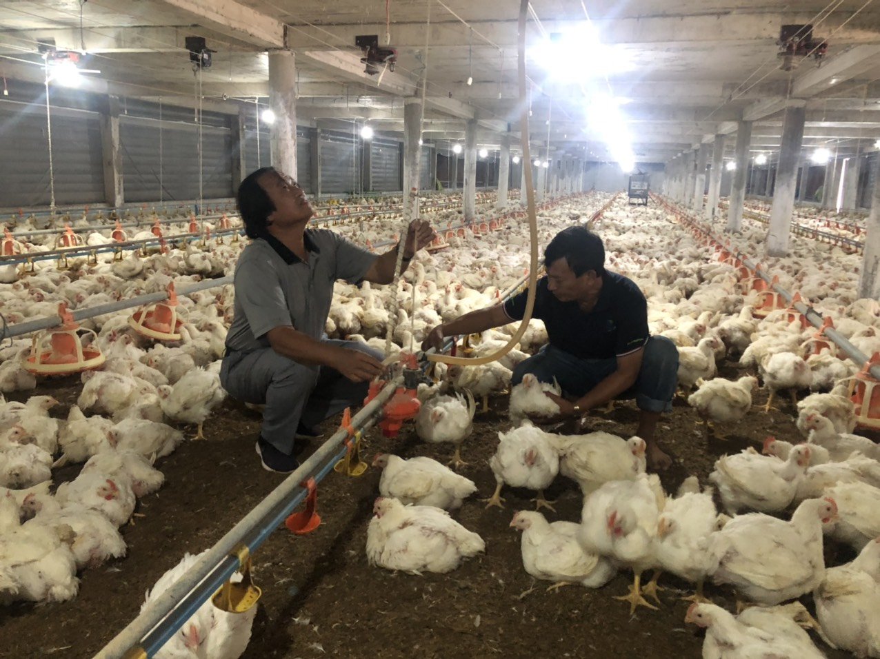 N&ocirc;ng nghiệp c&ocirc;ng nghệ cao: Động lực mới cho n&ocirc;ng nghiệp TPHCM - Ảnh 4.