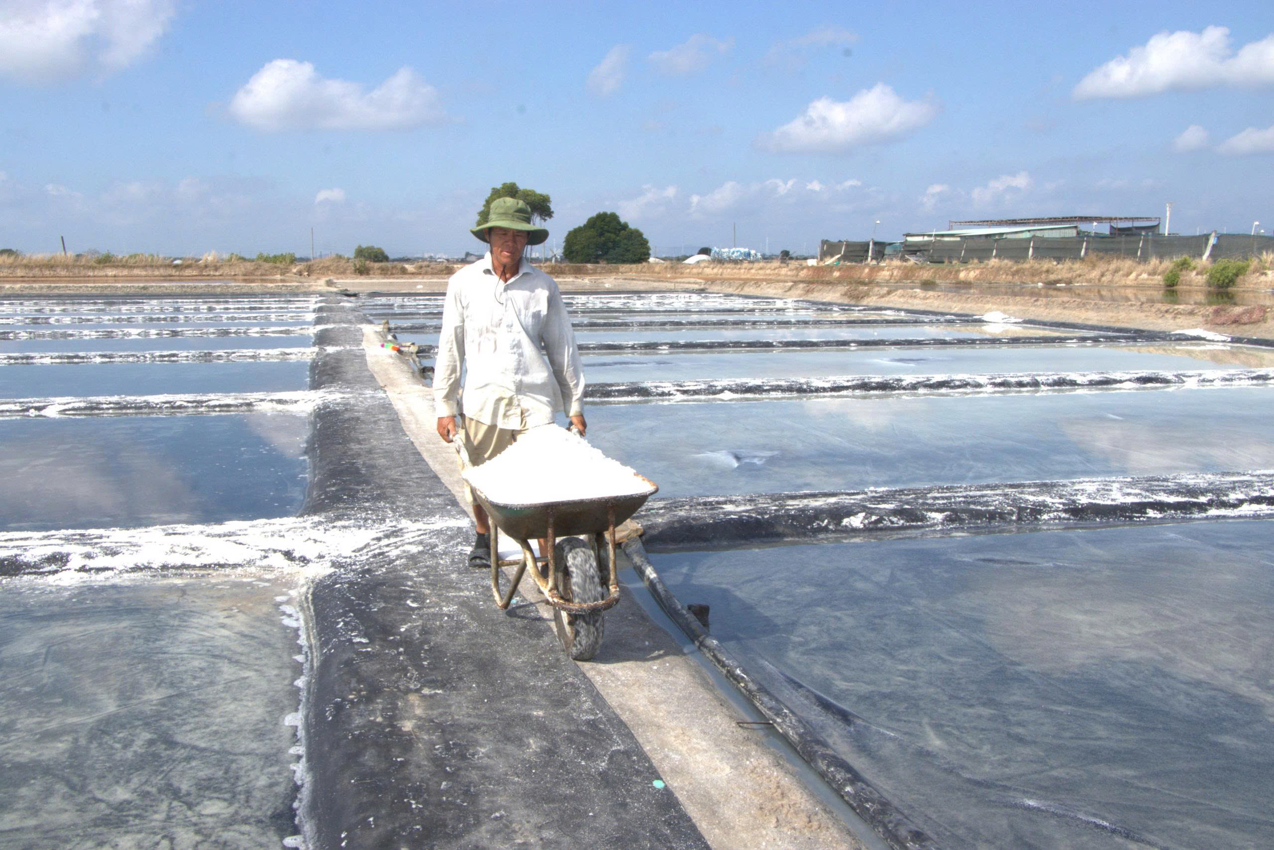 Giữ vị mặn trên đồng muối An Ngãi - Ảnh 3.