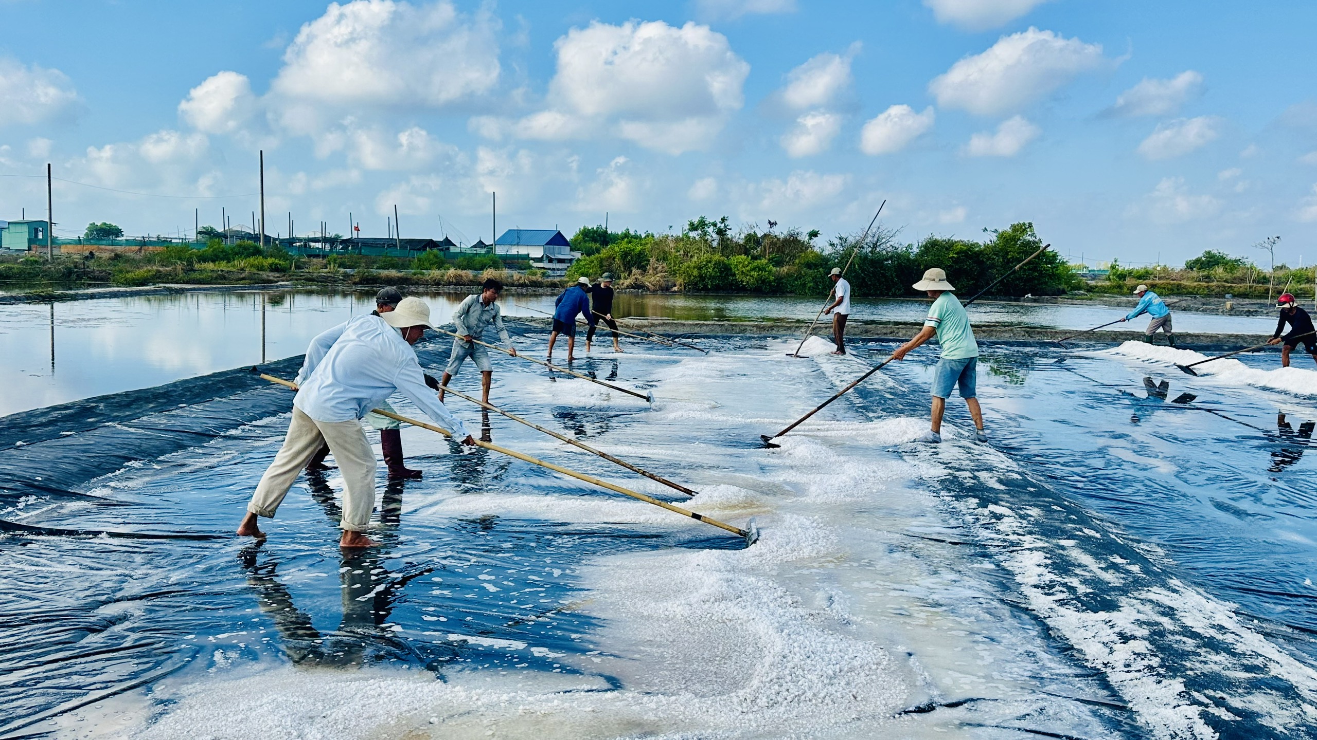Giữ vị mặn trên đồng muối An Ngãi - Ảnh 1.
