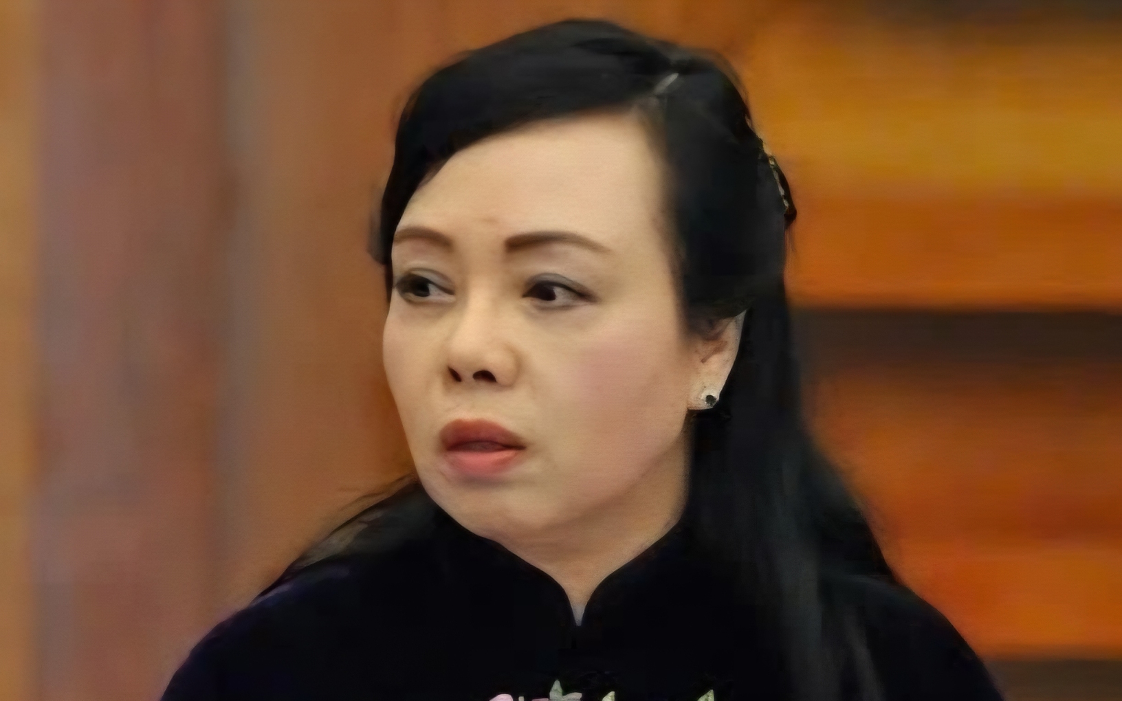 Gây thiệt hại hàng trăm tỉ đồng, cựu Bộ trưởng Nguyễn Thị Kim Tiến sắp hầu toà