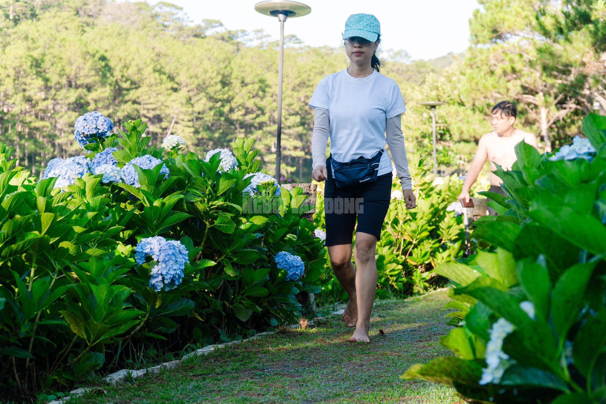 Thiền nắng, tắm trăng: Những liệu pháp chữa lành không nằm trong tủ thuốc - Ảnh 2.