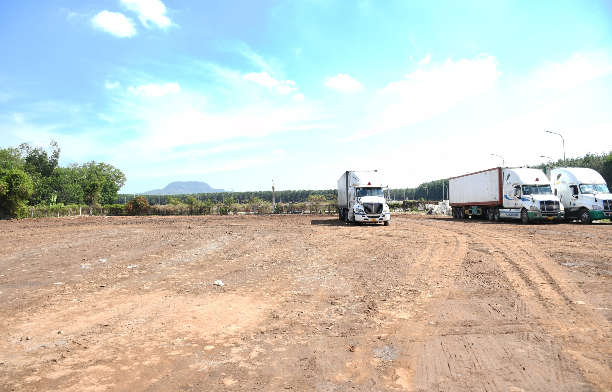 Vụ h&agrave;ng trăm container sầu ri&ecirc;ng đậu k&iacute;n đường: H&igrave;nh ảnh sau chỉ đạo của Chủ tịch Th&agrave;nh phố Đồng Nai - Ảnh 3.