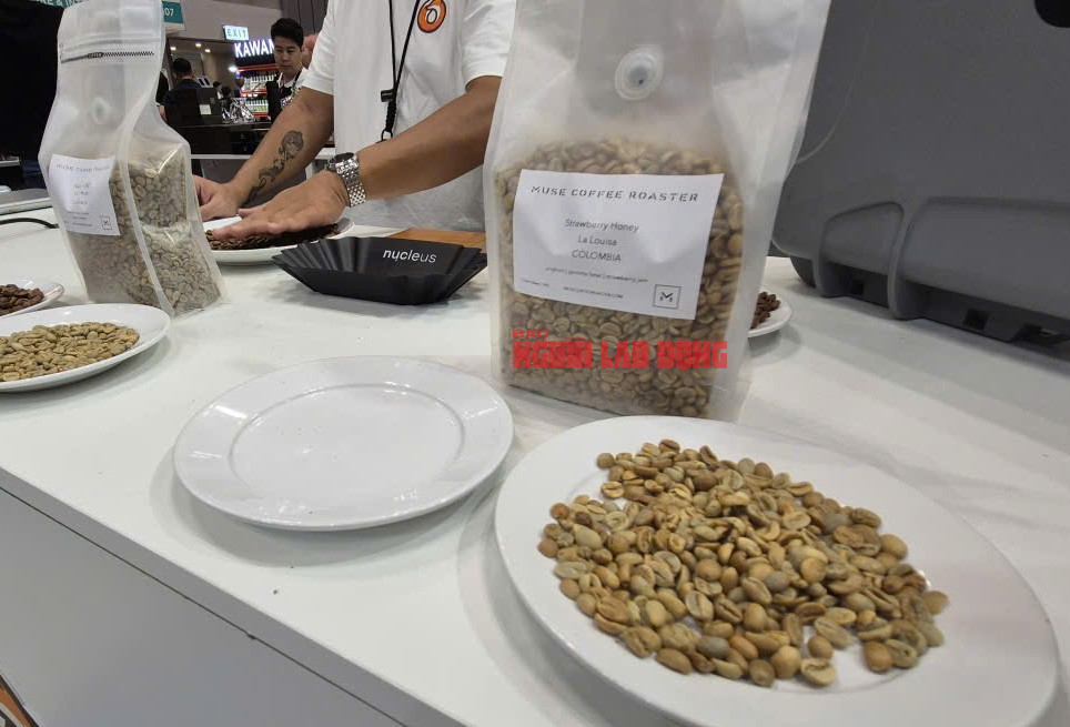 Giá cà phê hôm nay 8 - 5: Robusta tăng liên tiếp , Arabica giảm sâu - Ảnh 2.
