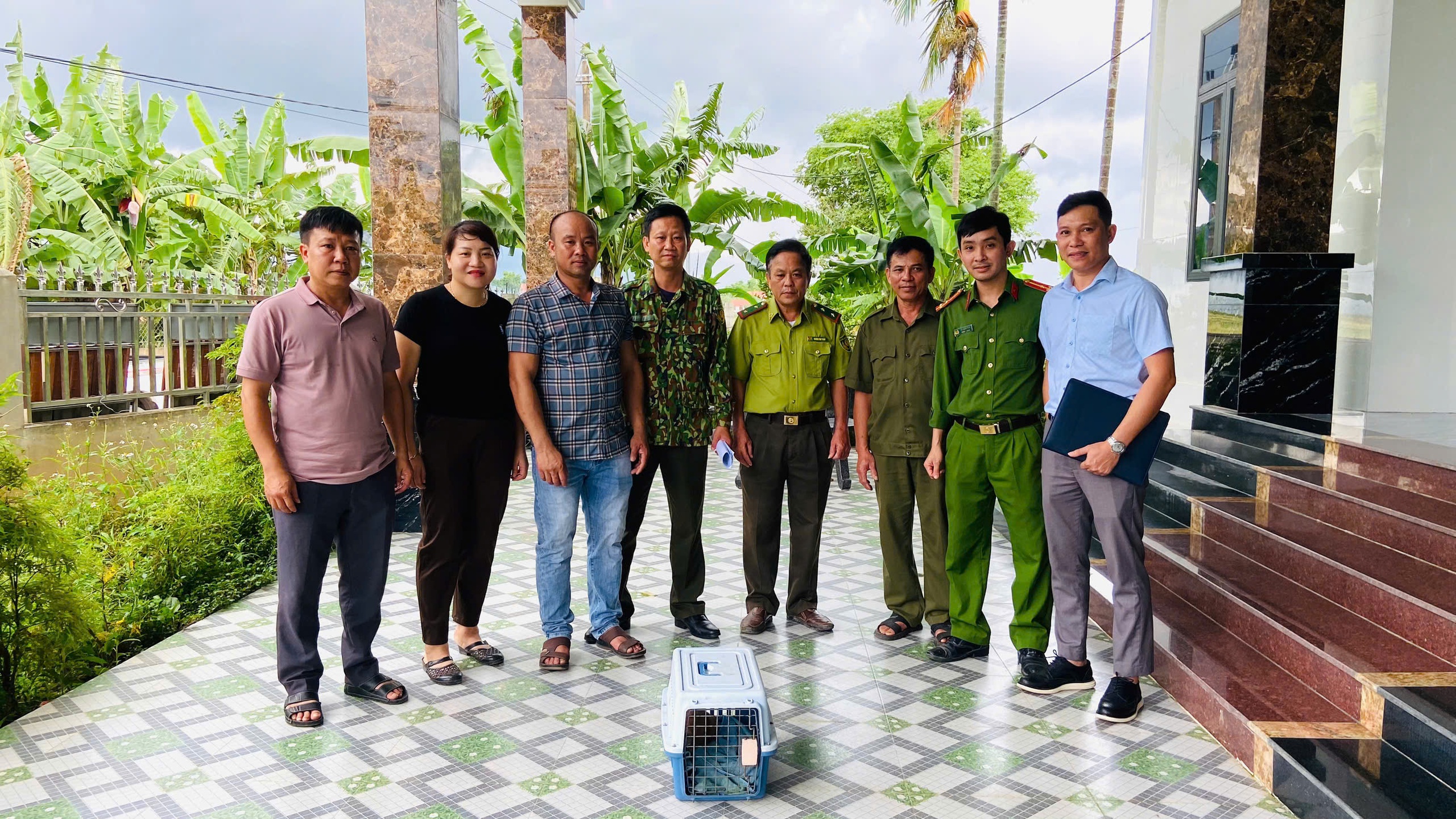 Cu li nhỏ qúy hiếm đi lạc vào nhà dân ở Quảng Trị , được cứu hộ kịp thời - Ảnh 1.