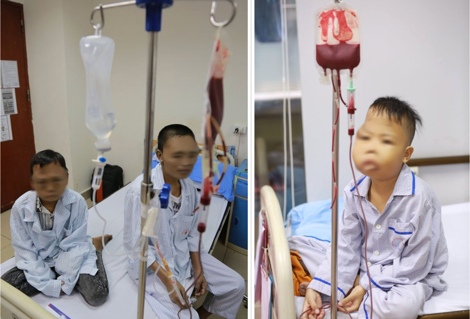 14 triệu người Việt mang gen thalassemia mà không hay biết - Ảnh 4.