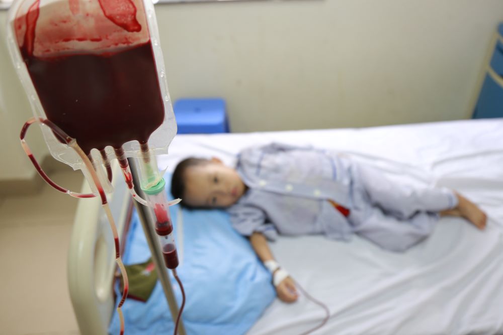 14 triệu người Việt mang gen thalassemia mà không hay biết - Ảnh 1.
