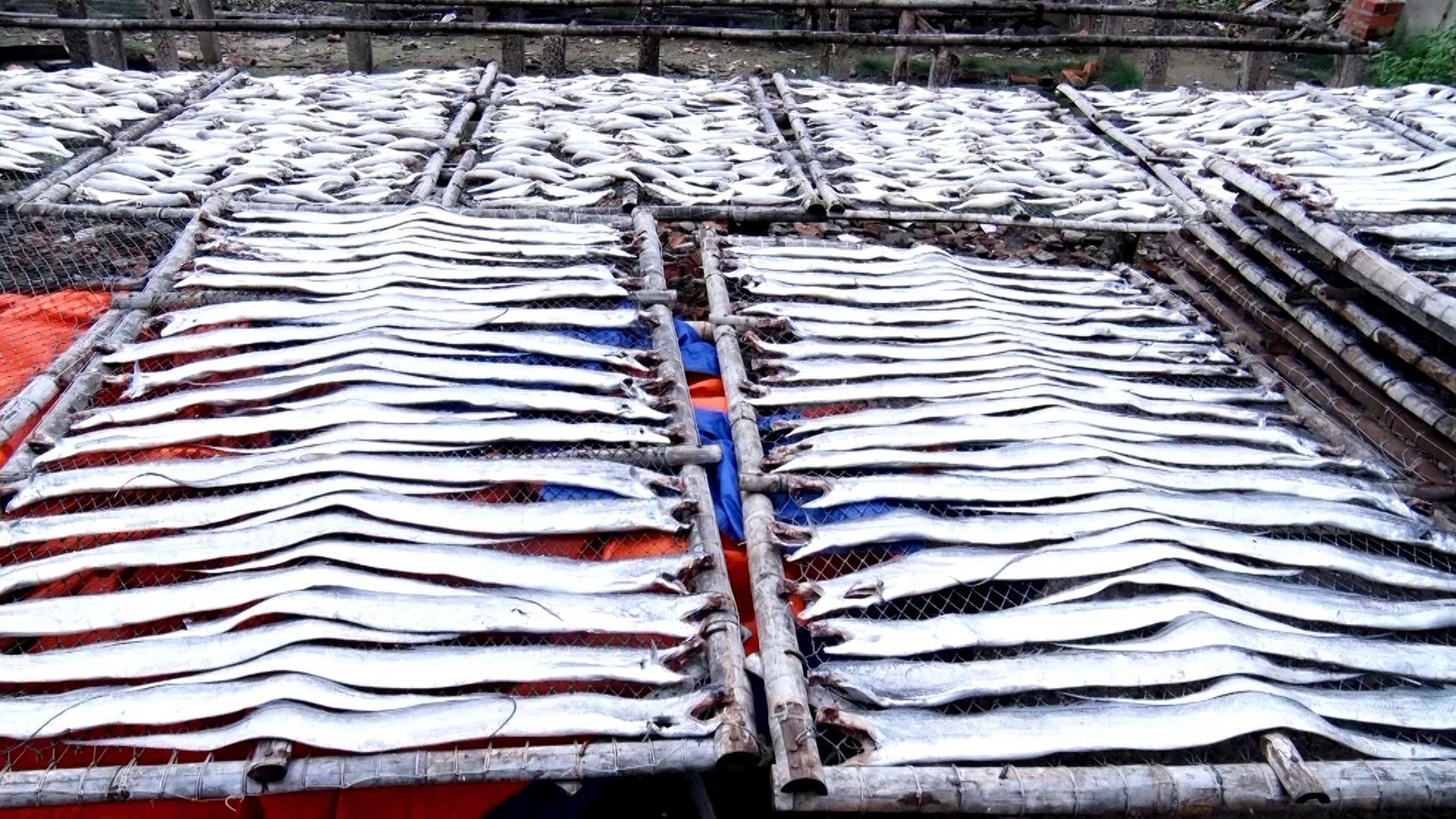 Giữ vị biển trong từng mẻ cá khô Long Hải - Ảnh 5.