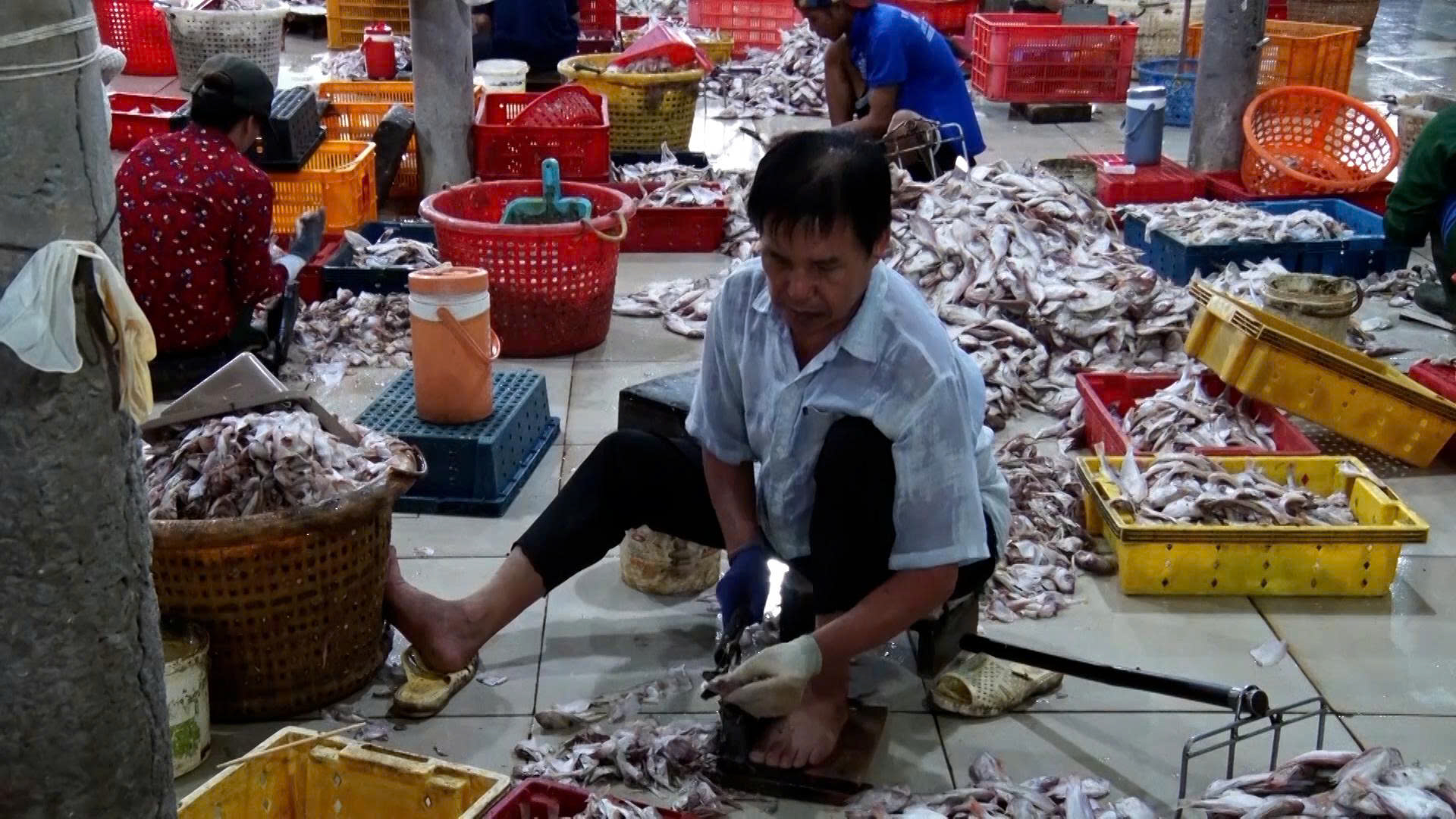 Giữ vị biển trong từng mẻ cá khô Long Hải - Ảnh 1.