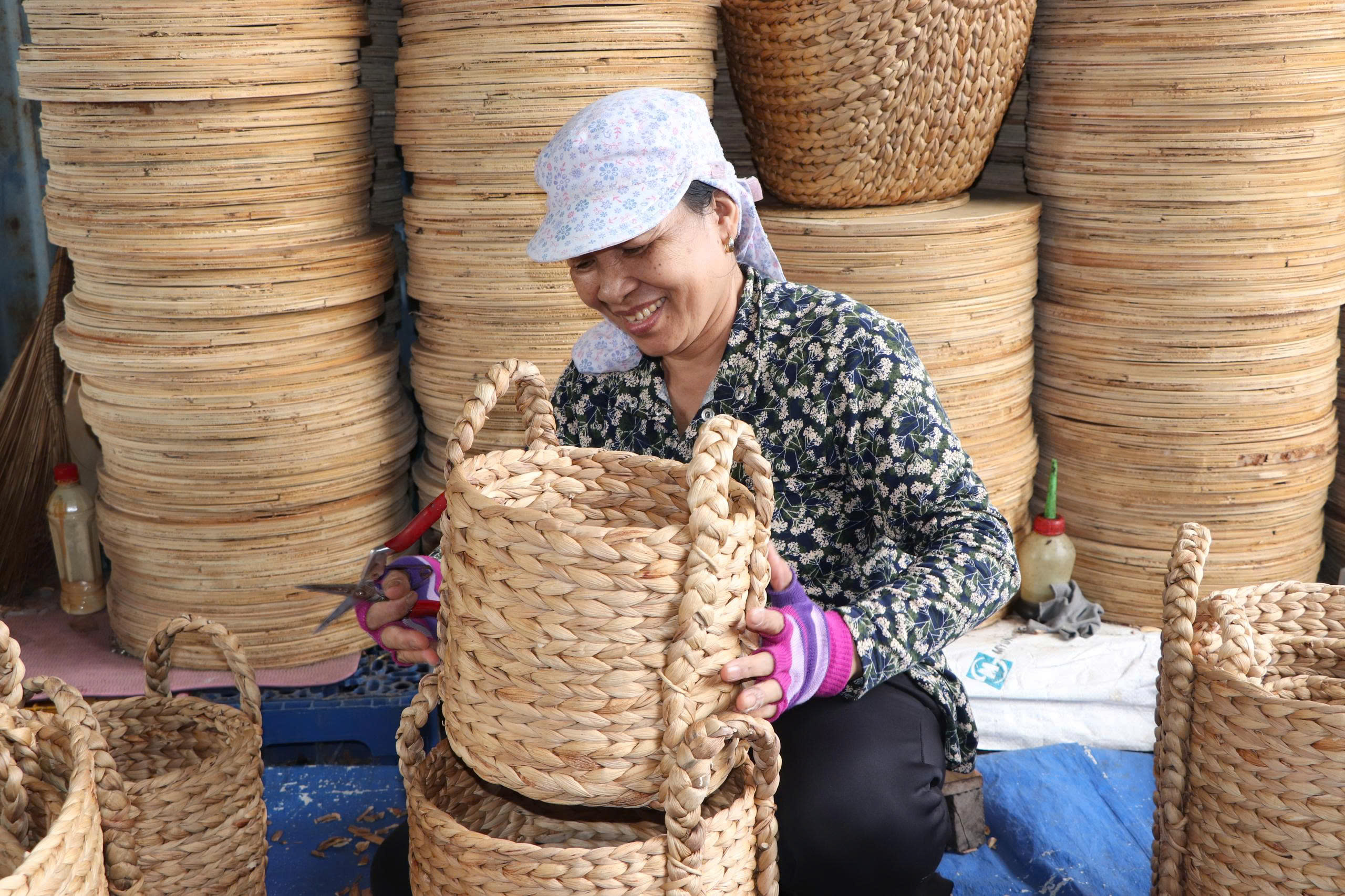 Lục bình "đi Tây" - Ảnh 1.