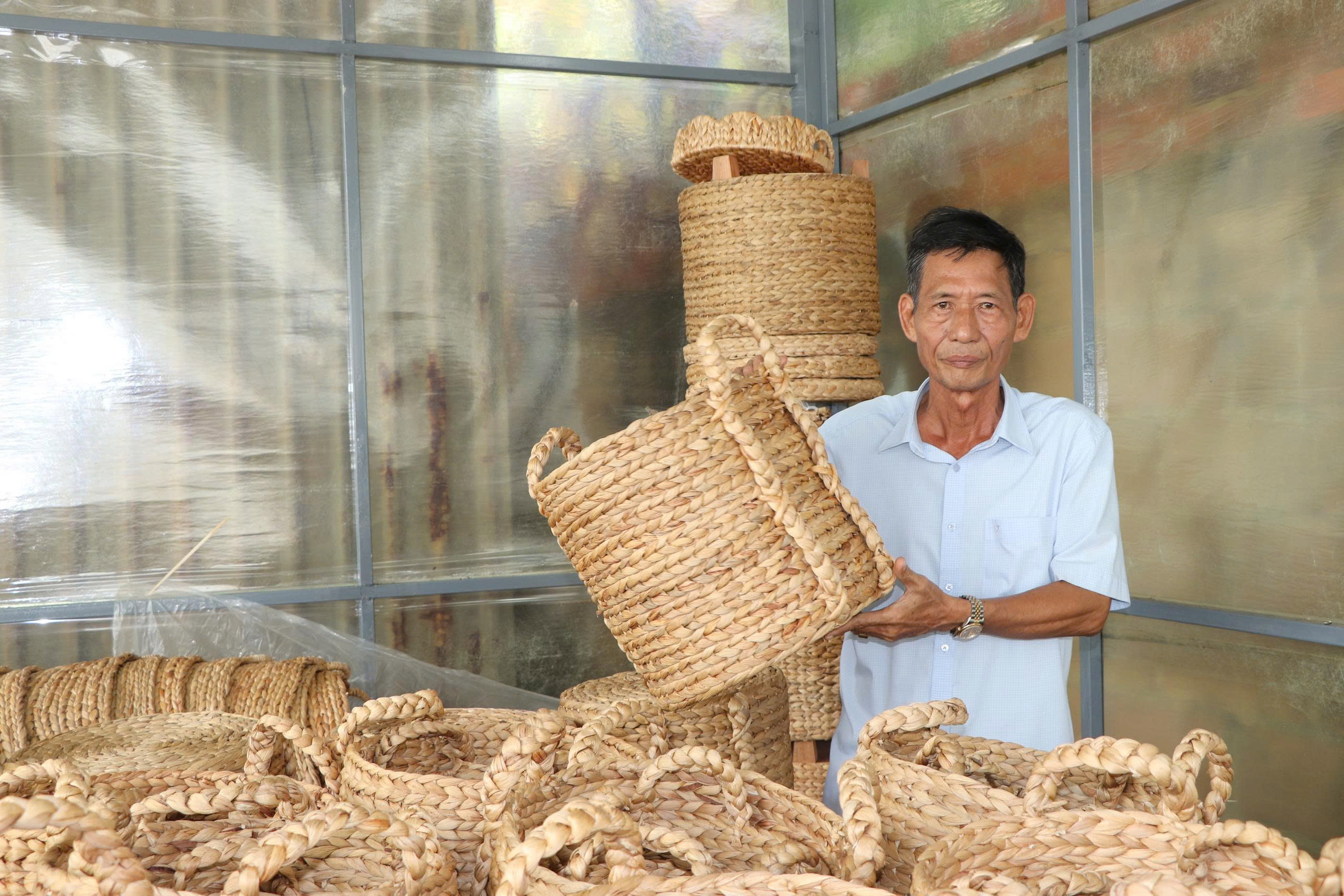 Lục bình "đi Tây" - Ảnh 2.