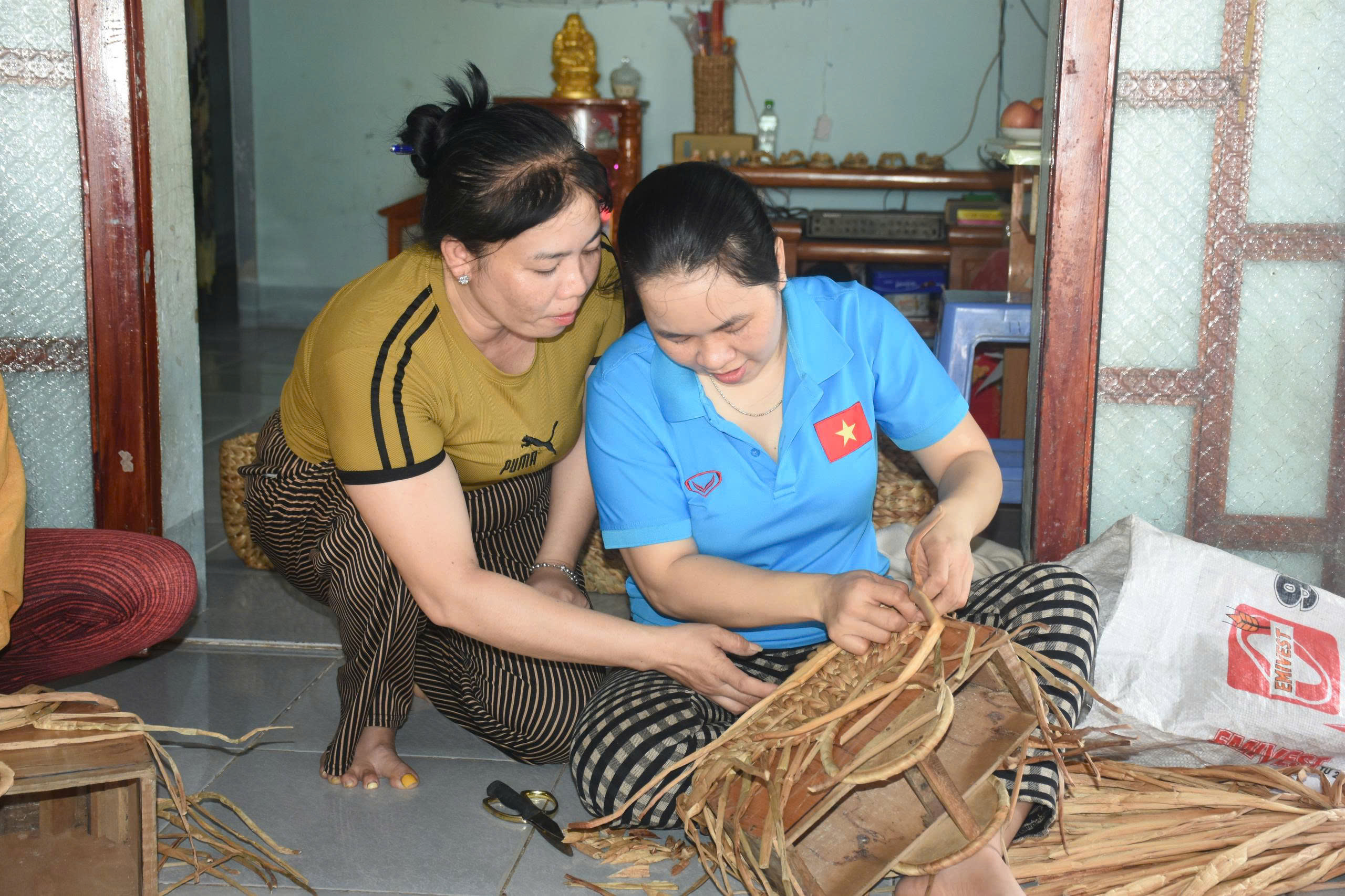 Lục bình "đi Tây" - Ảnh 4.