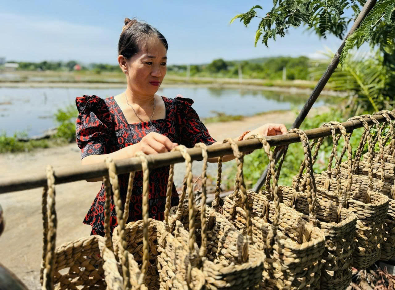Lục bình "đi Tây" - Ảnh 5.
