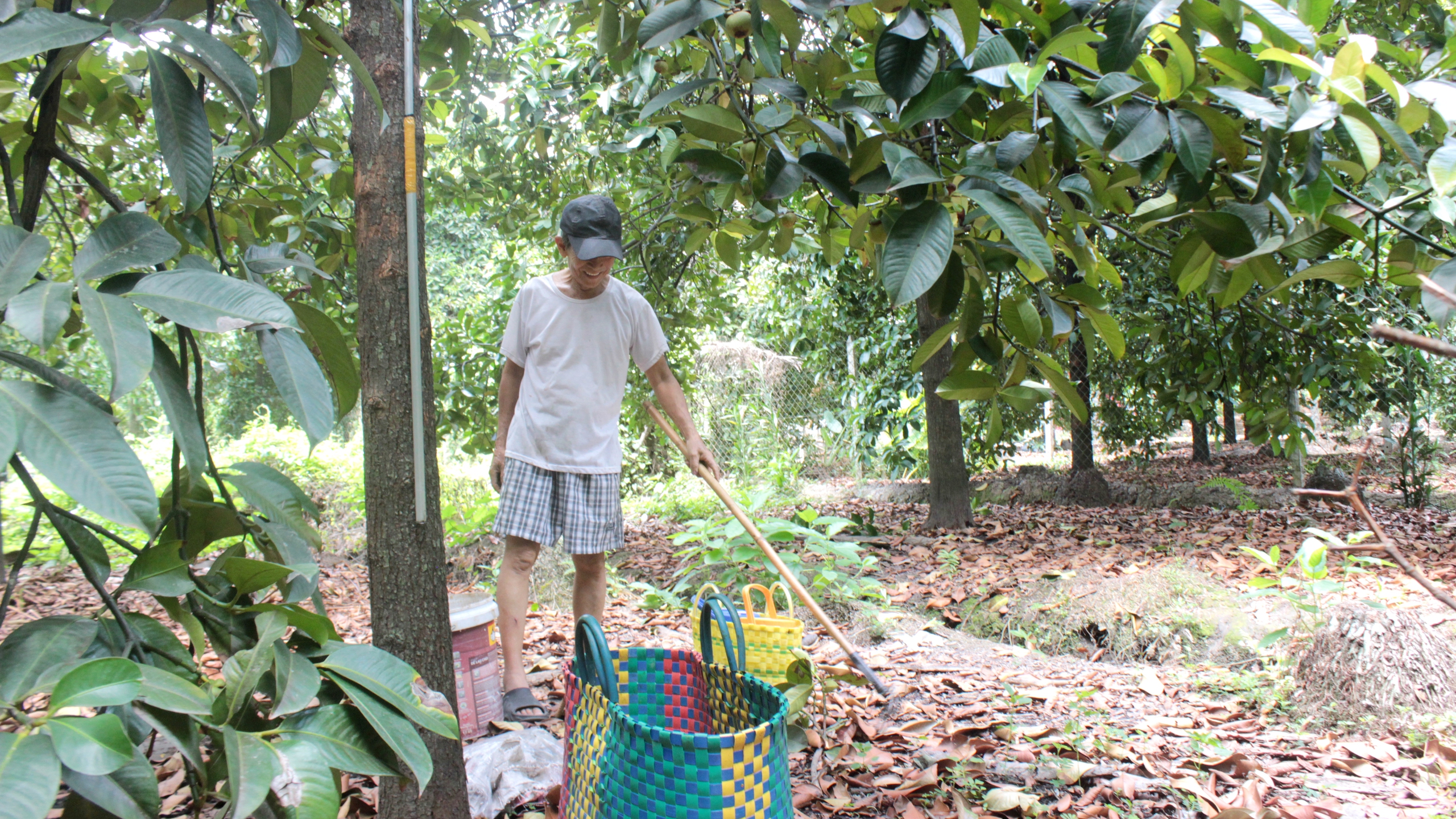 Giữ m&agrave;u xanh ven s&ocirc;ng S&agrave;i G&ograve;n - Ảnh 1.