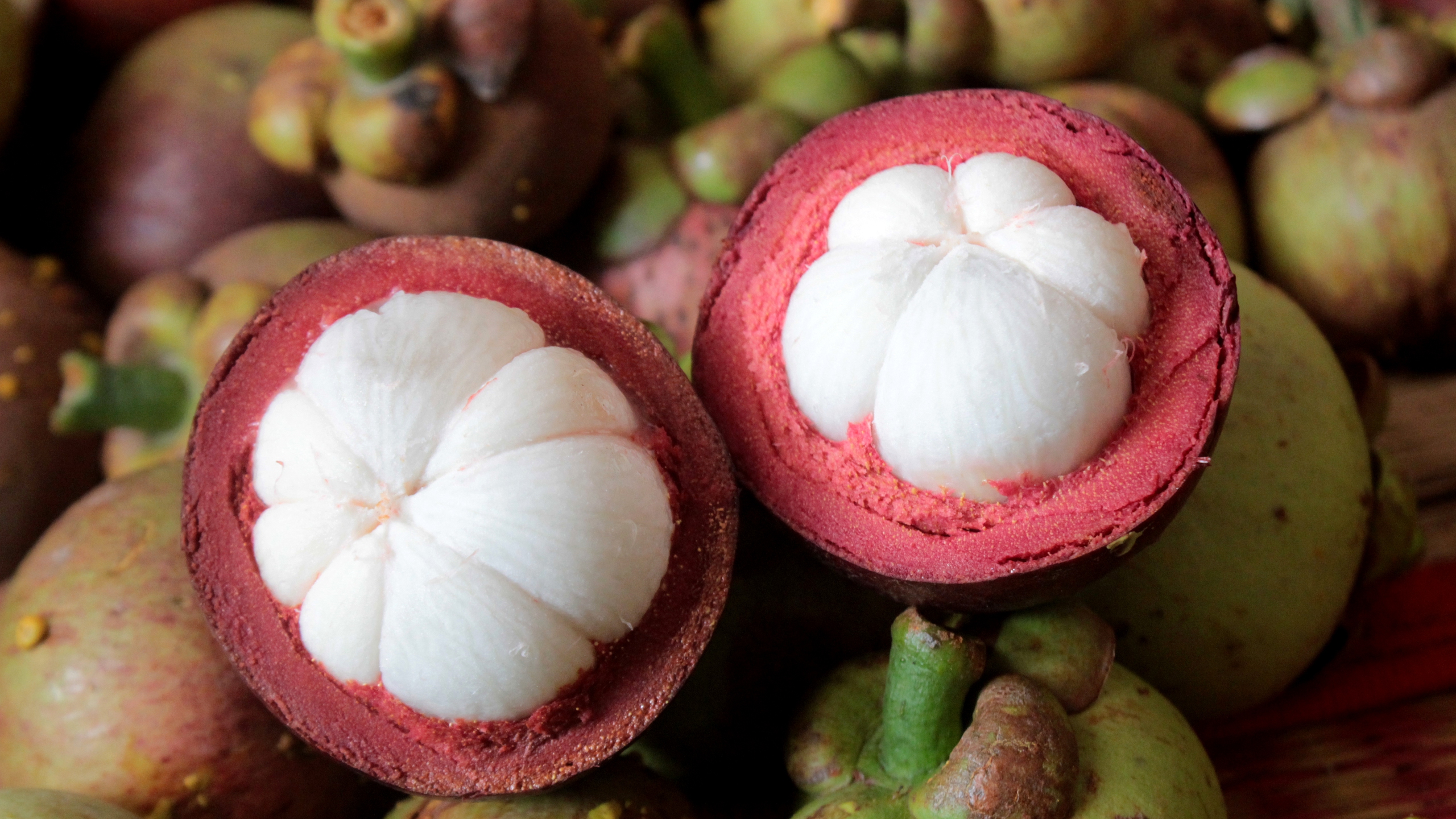 Giữ m&agrave;u xanh ven s&ocirc;ng S&agrave;i G&ograve;n - Ảnh 5.
