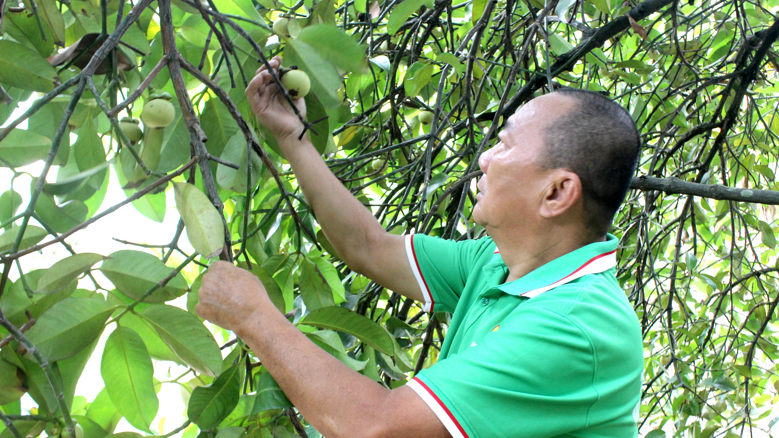 Giữ m&agrave;u xanh ven s&ocirc;ng S&agrave;i G&ograve;n - Ảnh 3.