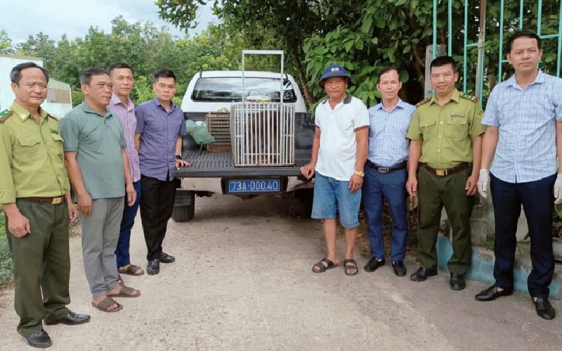 Nhiều động vật quý hiếm liên tiếp xuất hiện giữa khu dân cư ở Quảng Trị