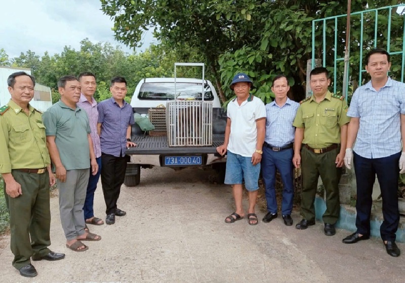 Li&ecirc;n tiếp ph&aacute;t hiện động vật q&uacute;y hiếm ở Quảng Trị: T&ecirc; t&ecirc; Java v&agrave; khỉ mặt đỏ - Ảnh 1.