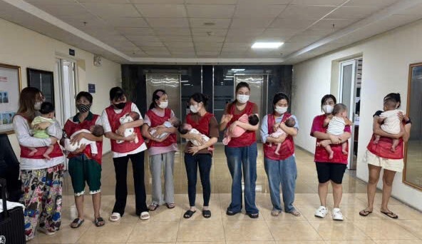 Triệt ph&aacute; đường d&acirc;y mang thai hộ thương mại tại Quảng Ninh năm 2026 - Ảnh 1.