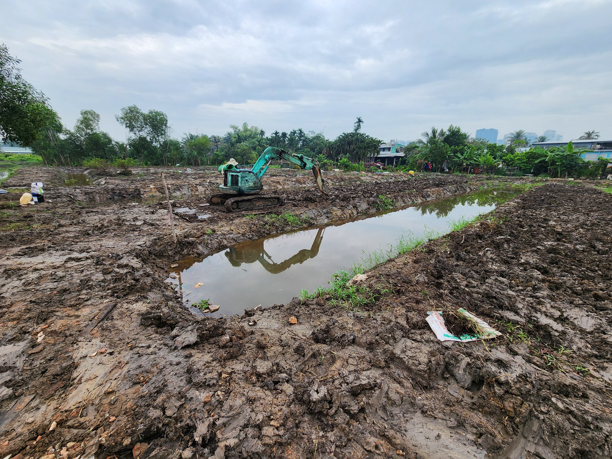 Từ đất phèn đến mô hình "Trên rau - Dưới cá" - Ảnh 2.