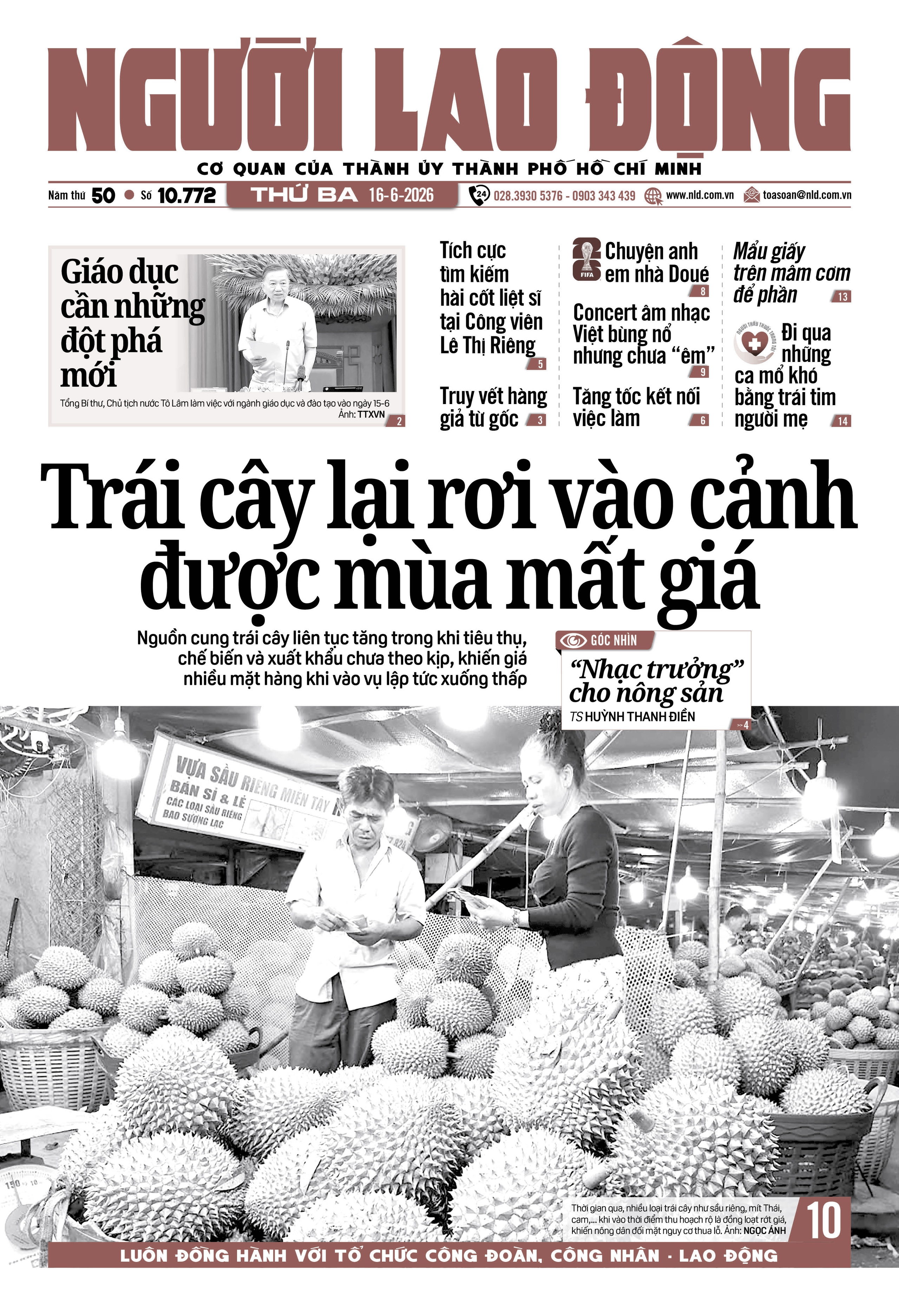 Số báo 10772