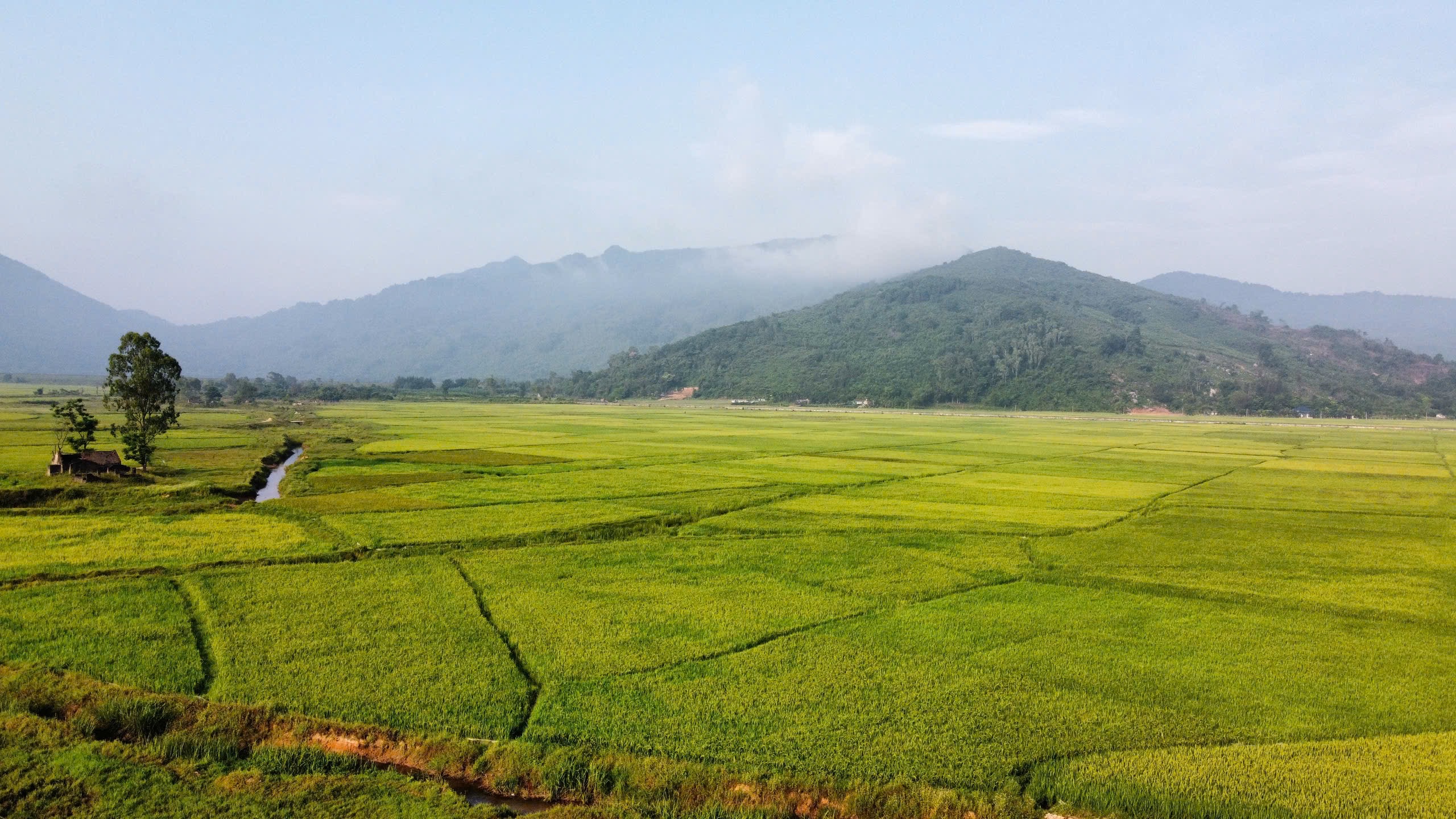 Thu gom vỏ thuốc bảo vệ thực vật: Giữ m&agrave;u xanh cho đồng ruộng - Ảnh 3.