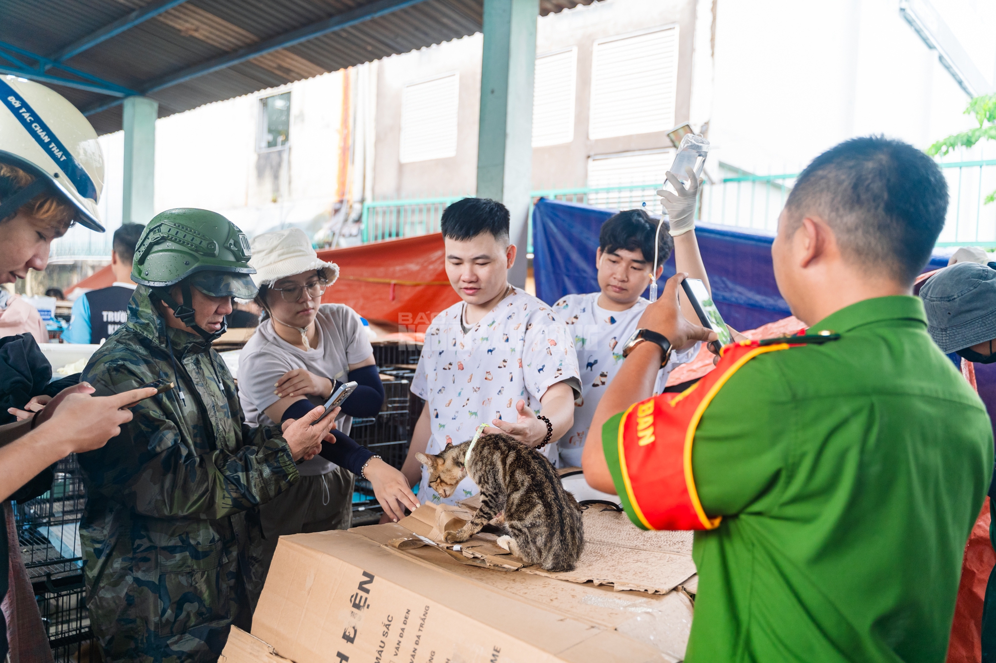 VIDEO: Công an TPHCM "lập bệnh viện dã chiến" đặc biệt cứu sống hơn 400 bé mèo - Ảnh 21.