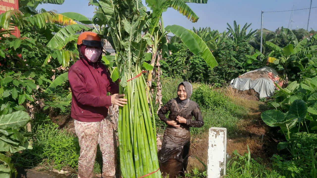 Xanh mướt cù lao Rùa - Ảnh 2.