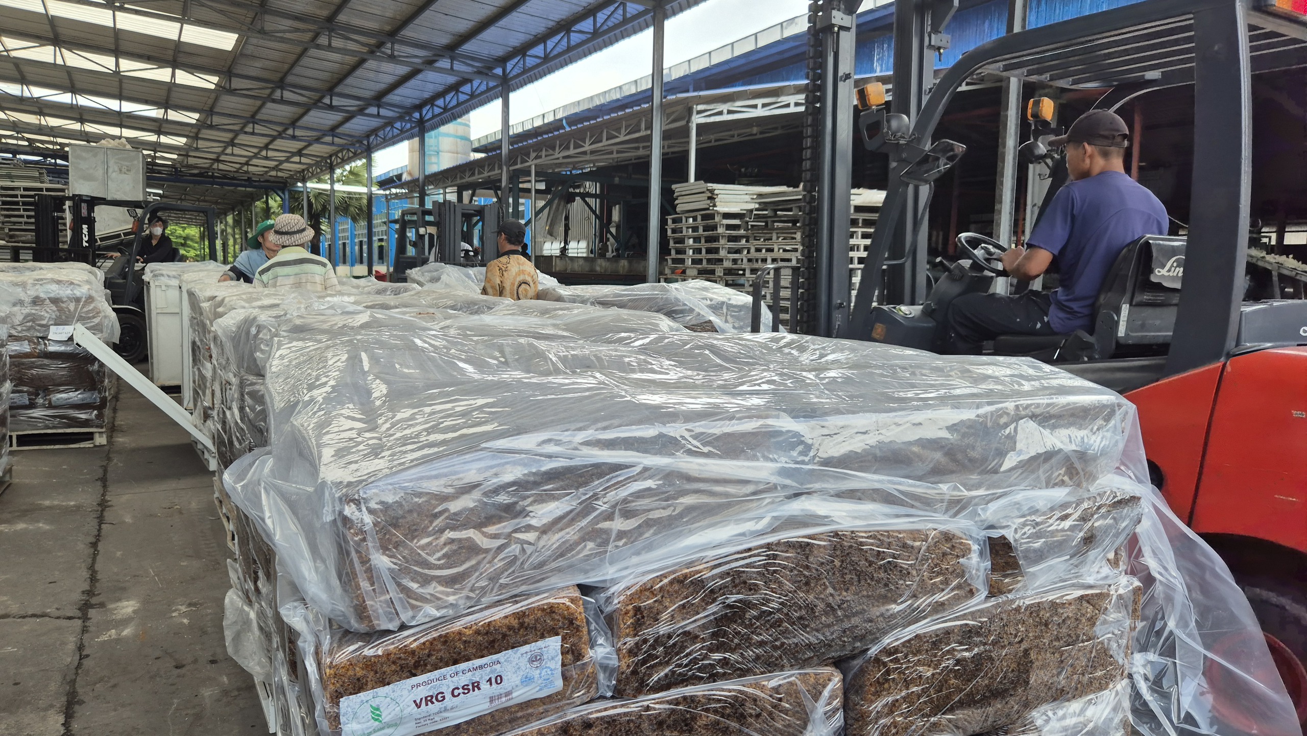 Dự b&aacute;o gi&aacute; cao su năm 2030 c&oacute; thể đạt 3 . 300 USD / tấn Theo VRG - Ảnh 4.