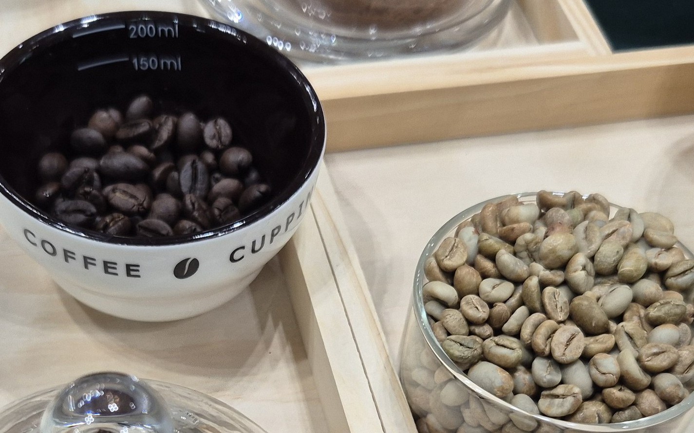 Giá cà phê hôm nay 17-6: Arabica bùng nổ, Robusta nối dài chuỗi tăng