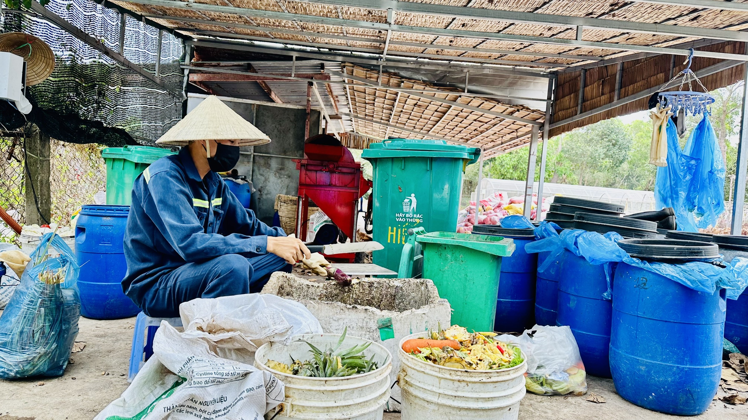Biến r&aacute;c th&agrave;nh ph&acirc;n hữu cơ - Ảnh 1.