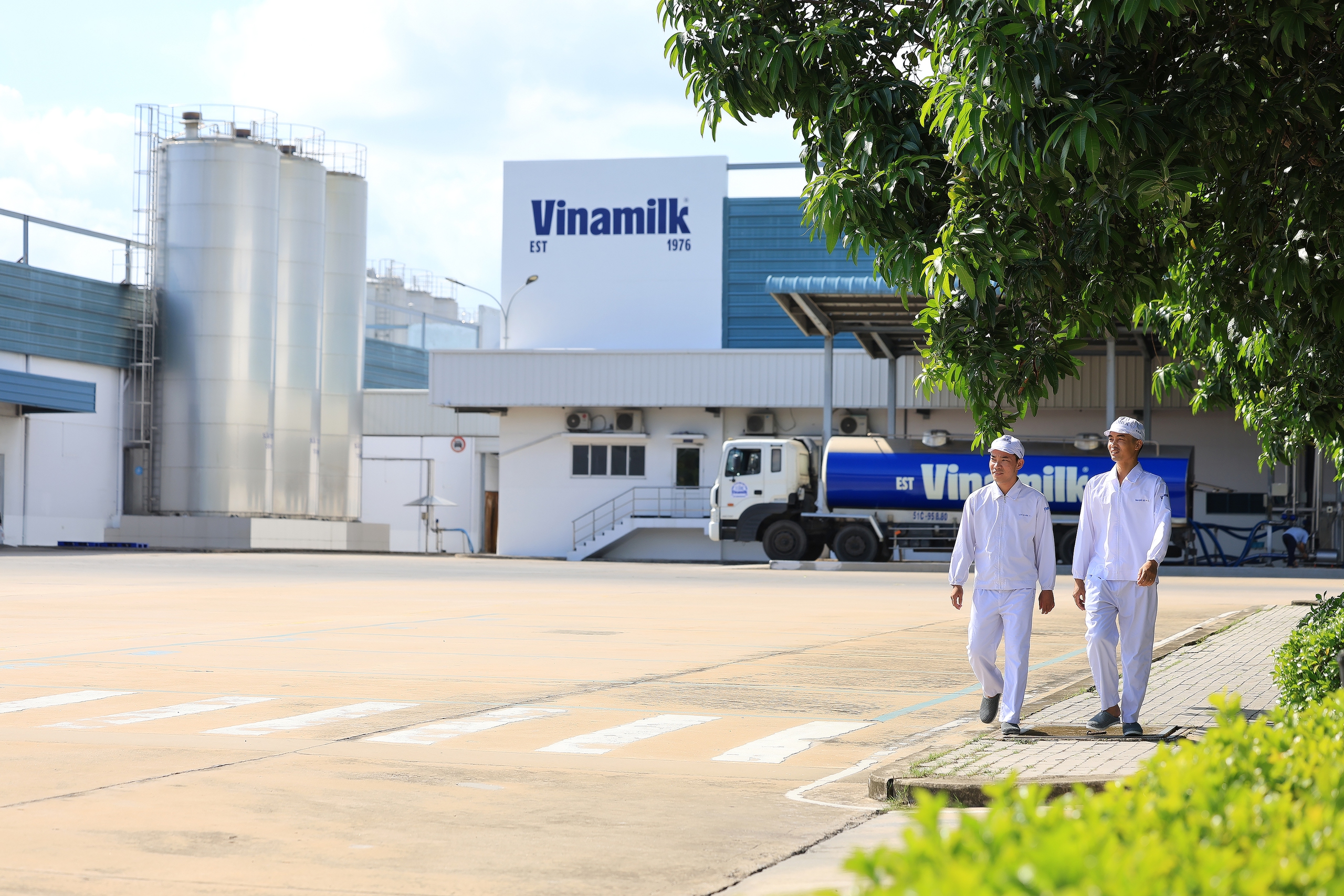 Vinamilk khẳng định vị thế thương hiệu sữa Việt - Ảnh 1.