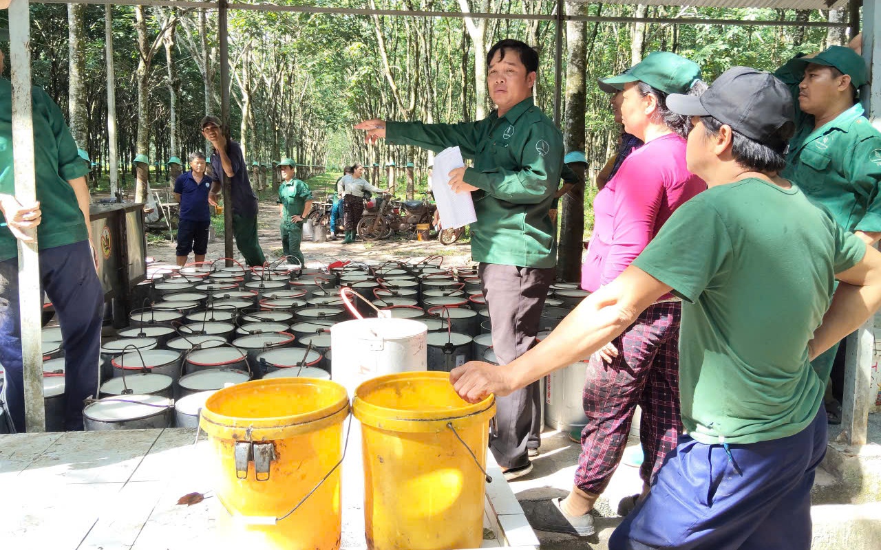 Lan tỏa tinh thần cần cù, tận tụy