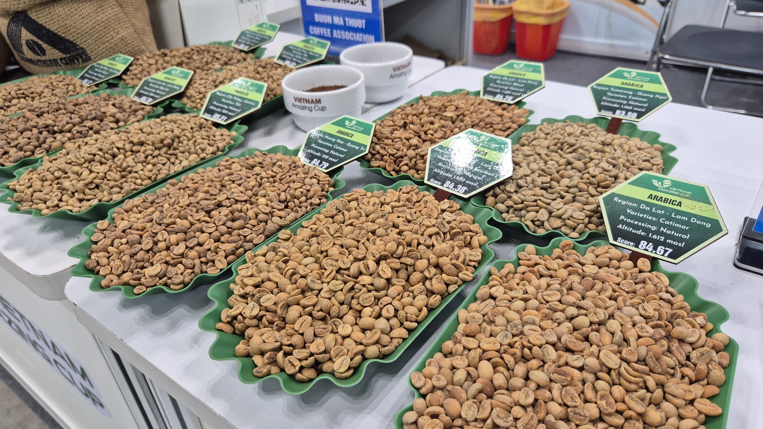 Giá cà phê hôm nay 2-6: Arabica giảm 3 con số - Ảnh 1.