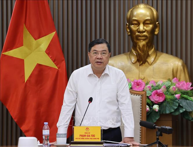 Phó Thủ tướng Phạm Gia Túc: Minh bạch thông tin xăng E10 , đảm bảo quyền lợi người tiêu dùng - Ảnh 1.