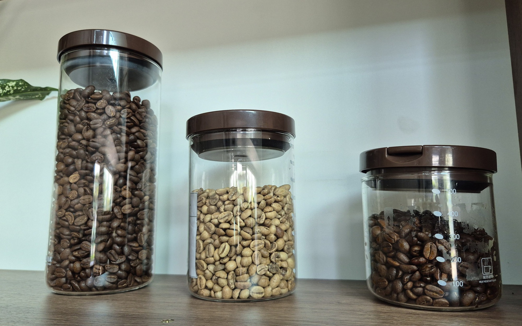 Giá cà phê hôm nay 20-6: Robusta quay đầu giảm sau 7 phiên tăng liên tiếp