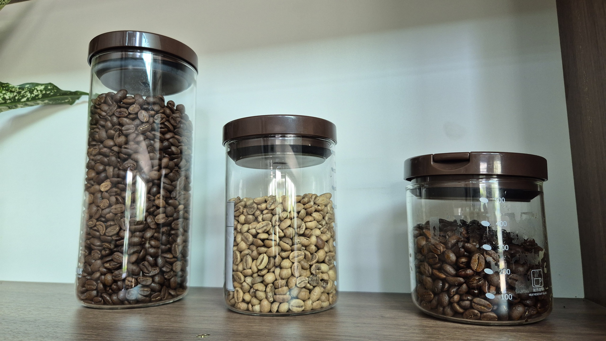 Gi&aacute; c&agrave; ph&ecirc; h&ocirc;m nay 20 - 6: Robusta giảm sau 7 phi&ecirc;n tăng li&ecirc;n tiếp - Ảnh 2.