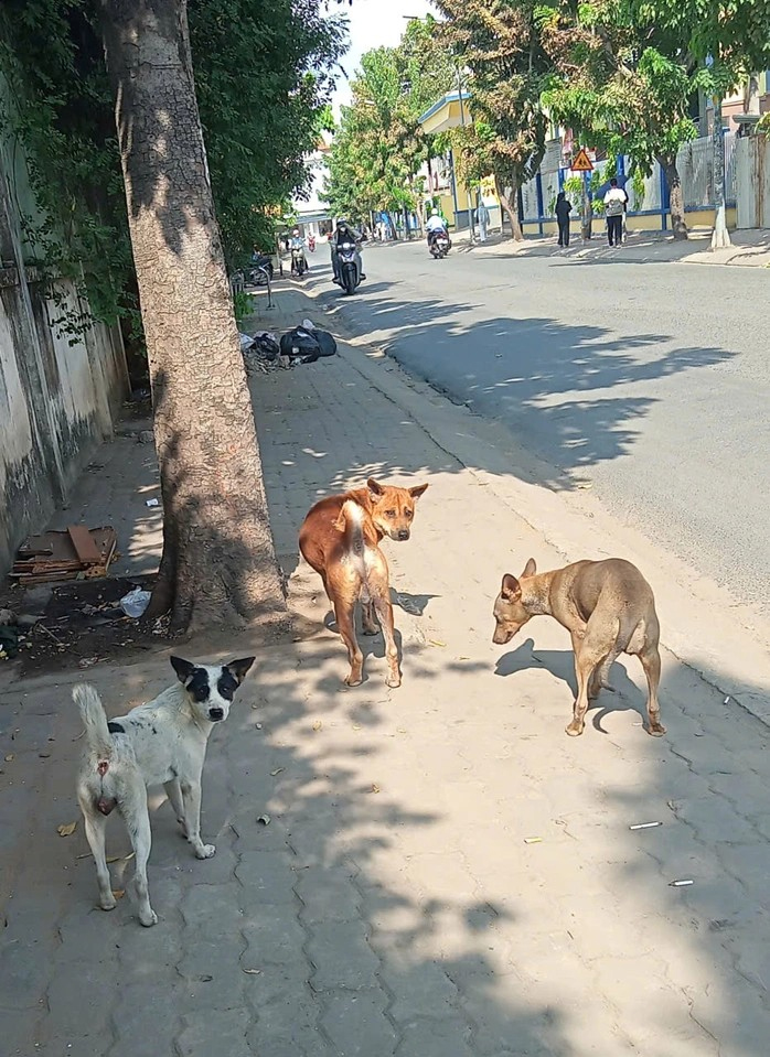 Chuyện riêng, hệ lụy chung - Ảnh 1.
