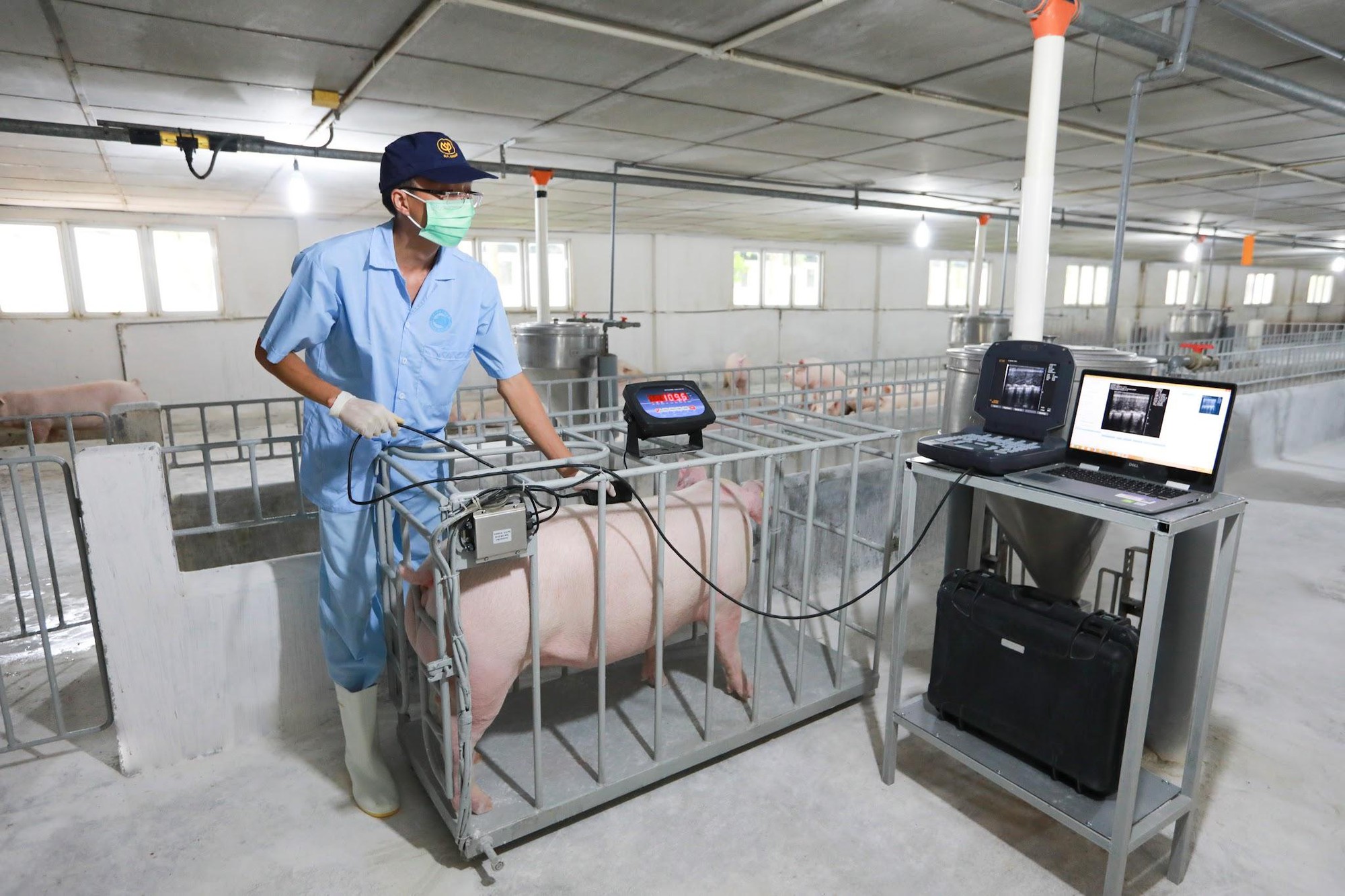 IPVS 2026: C.P. Việt Nam th&uacute;c đẩy c&aacute;ch tiếp cận ph&ograve;ng bệnh chủ động trong chăn nu&ocirc;i heo - Ảnh 4.