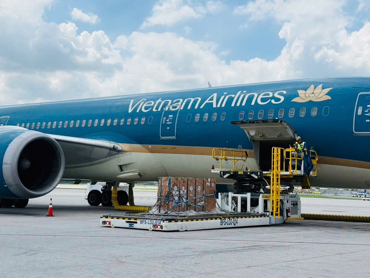Sếu đầu đỏ từ Th&aacute;i Lan được đưa về Việt Nam bằng Boeing 787 - Ảnh 2.