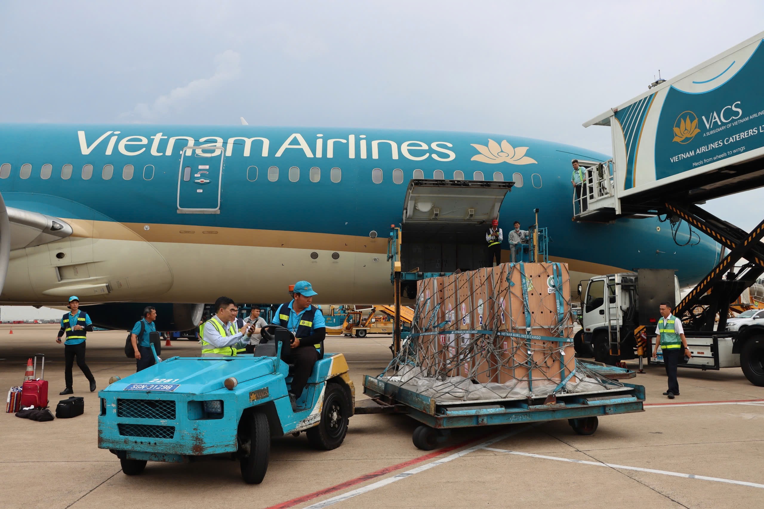 Sếu đầu đỏ từ Th&aacute;i Lan được đưa về Việt Nam bằng Boeing 787 - Ảnh 3.