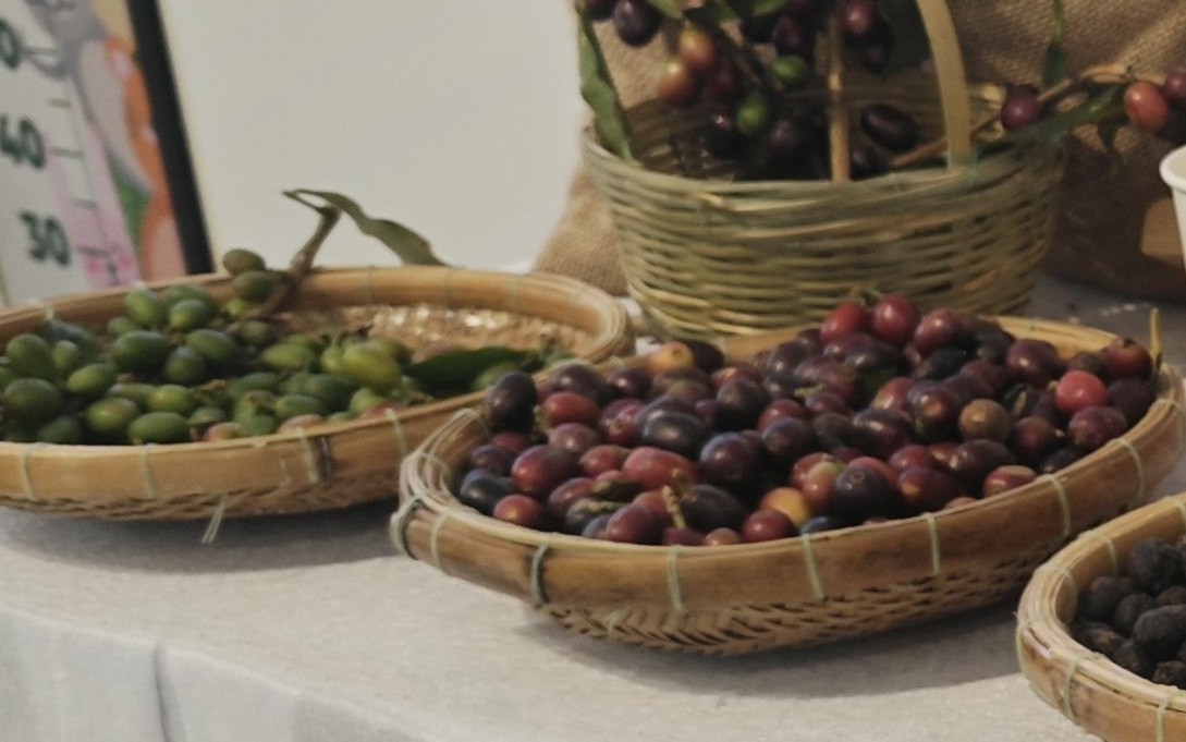 Giá cà phê hôm nay 26-6: Robusta tăng 3 phiên liền, cà phê Việt mở rộng thị phần tại Mỹ