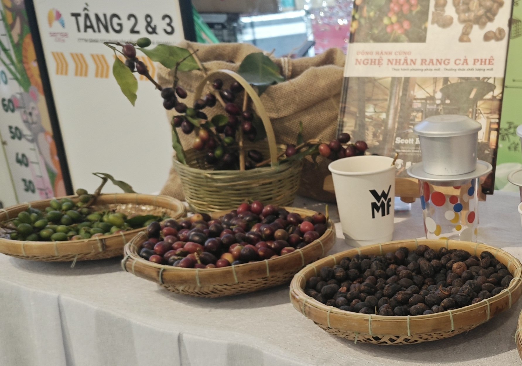Gi&aacute; c&agrave; ph&ecirc; h&ocirc;m nay 26-6: Robusta tăng 3 phi&ecirc;n liền, c&agrave; ph&ecirc; Việt mở rộng thị phần tại Mỹ - Ảnh 1.