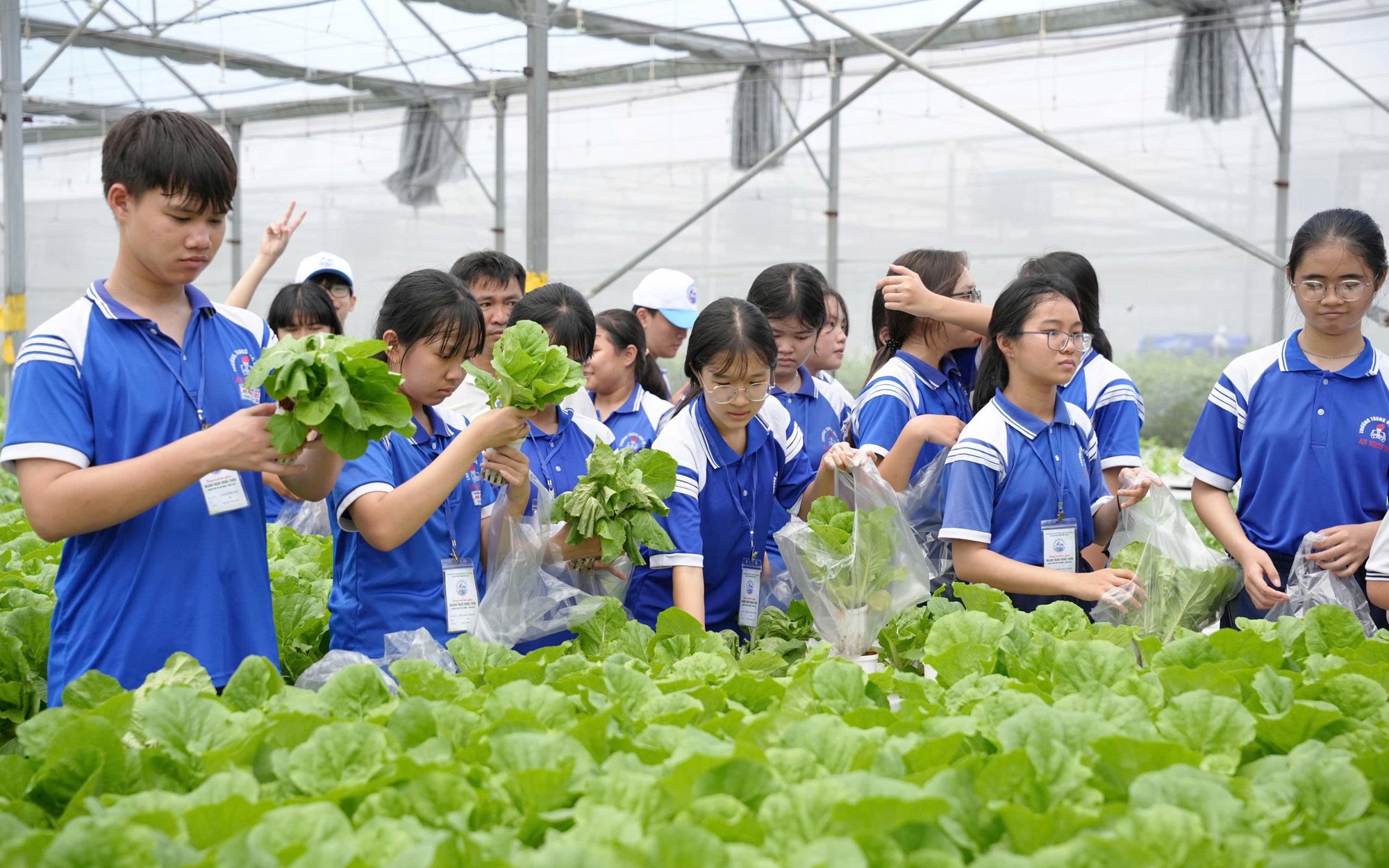 100 học sinh trải nghiệm nghề truyền thống và nông nghiệp công nghệ cao