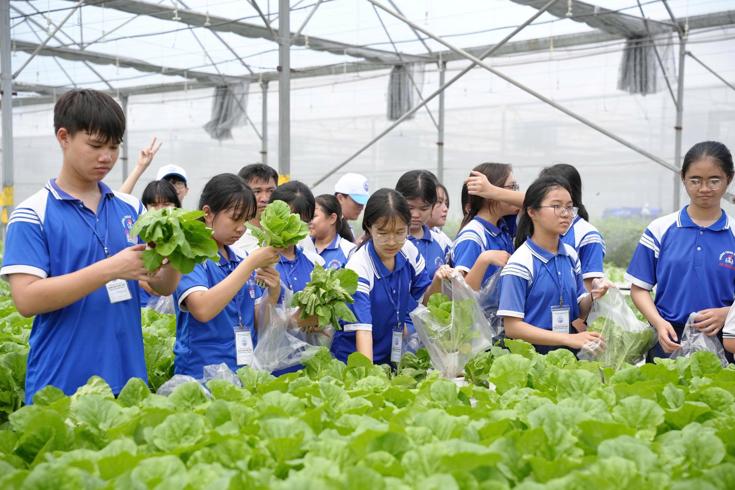 100 học sinh trải nghiệm nghề truyền thống và nông nghiệp công nghệ cao - Ảnh 3.