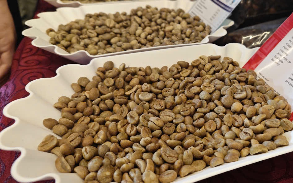 Giá cà phê hôm nay, 27-6: Robusta giao ngay vẫn "nóng"